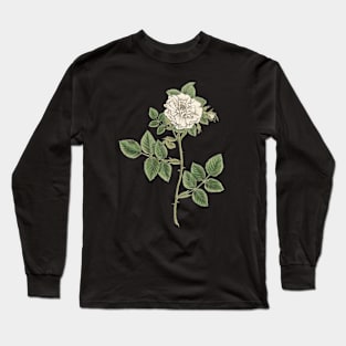 White Rose Flower Vintage Botanical Illustration Long Sleeve T-Shirt